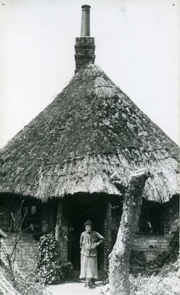 368x600 pixels (29K)