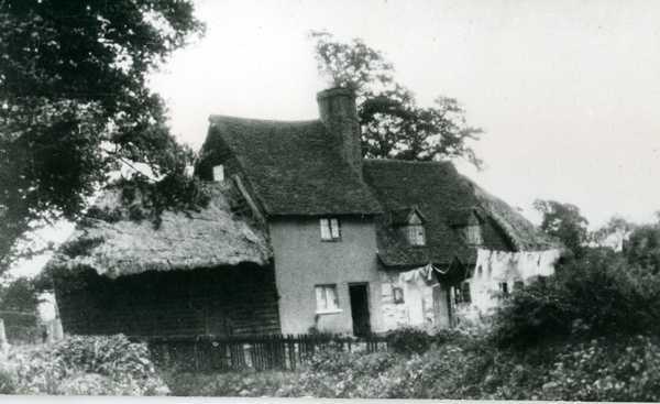 600x367 pixels (27K)