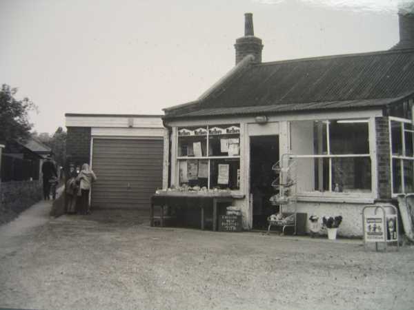 600x450 pixels (23K)