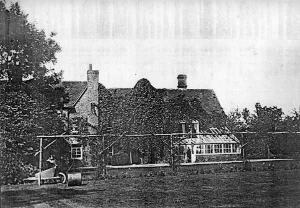 600x417 pixels (41K)