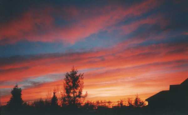 600x367 pixels (12K)