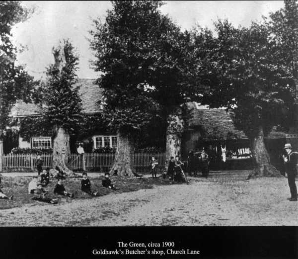 600x521 pixels (42K)