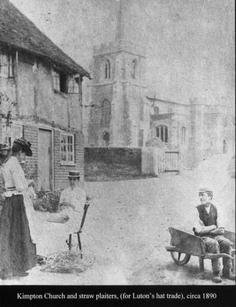 462x600 pixels (31K)