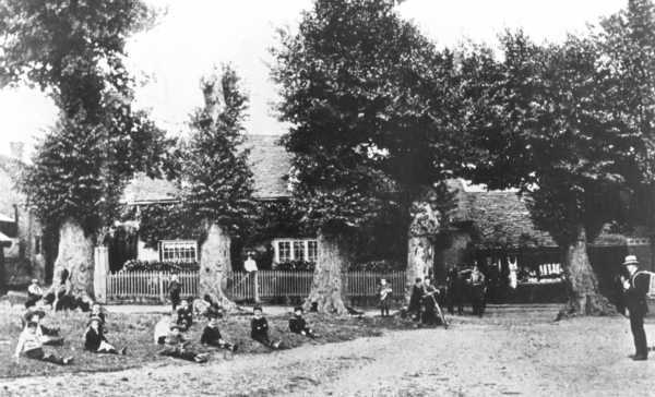 600x364 pixels (36K)