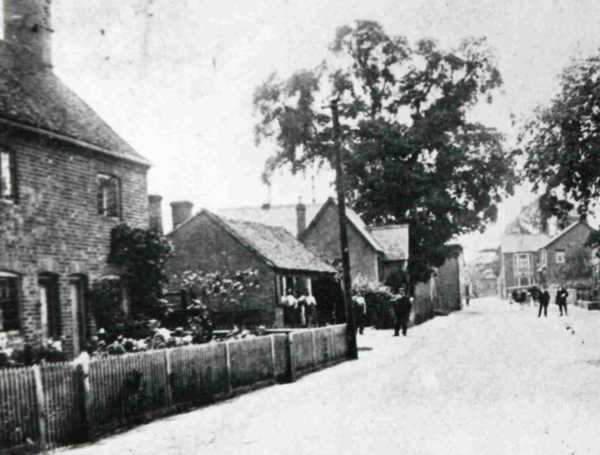 600x455 pixels (31K)