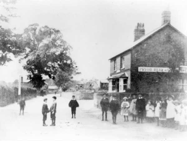 600x454 pixels (22K)