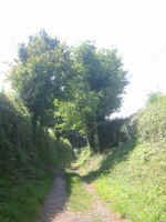 Hall Lane1.JPG (76310 bytes)